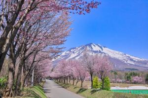 einen Berg im Hintergrund mit Bäumen und einer Straße in der Unterkunft Guest House Chara in Hirosaki