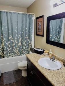 uma casa de banho com um lavatório, um WC e uma cortina de chuveiro. em Spacious Basement suite em Camrose