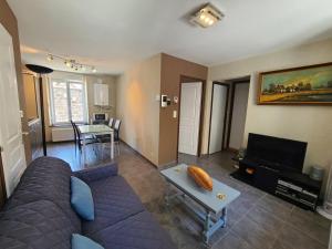 a living room with a couch and a table at Charmant T2 rénové avec cour privée - centre d'Épinal, proche gare et commodités - FR-1-589-265 in Épinal