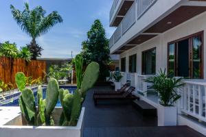 une terrasse avec des cactus et des bancs sur une maison dans l'établissement Isla Tortuga Diving & Hostel, à Koh Tao