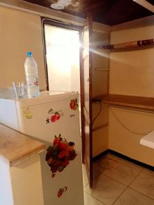 a refrigerator in a kitchen with a bottle of water at 2 bedrooms apartement with city view furnished terrace and wifi at Tunis 4 km away from the beach in Tunis