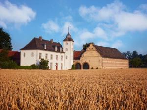 a field of wheat in front of a building at Stately 16-person manor farm in South Limburg in Schimmert +33 photos