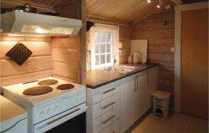 una pequeña cocina con fogones y fregadero en Gorgeous Home In Farsund With Kitchen en Farsund