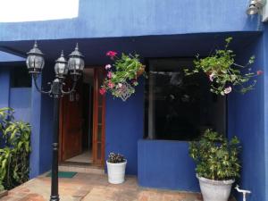 a blue building with potted plants and a street light at Global Airport Inn in Guatemala