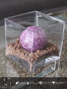 a glass container with a purple onion sitting on peanuts at Santiago Central Suites / Mapocho in Santiago