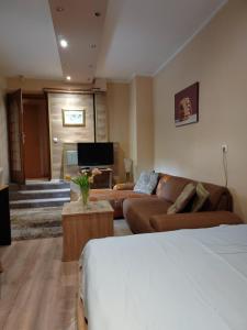 TV a/nebo společenská místnost v ubytování Guest House Maja