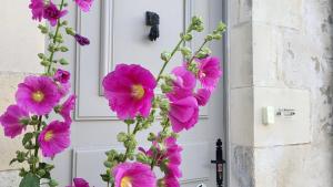 a bunch of purple flowers in front of a door at La Martinoise Patio in Saint-Martin-de-Ré