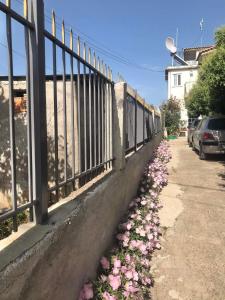 a fence with pink flowers on the side of a sidewalk at sea view in Amaliás