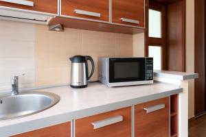 Kuchyň nebo kuchyňský kout v ubytování Apartament Słoneczny Wylotowa