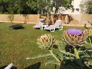 a garden with two chairs and a plant with a flower at Chillout Apartments with Pool Patricia in Fažana