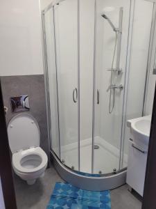 a bathroom with a shower and a toilet and a sink at Pensjonat Markus Grzybowo in Grzybowo