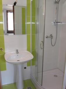 a bathroom with a sink and a shower at Casa Felicia in Moieciu de Jos