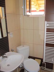 a bathroom with a white toilet and a sink at Casa Felicia in Moieciu de Jos