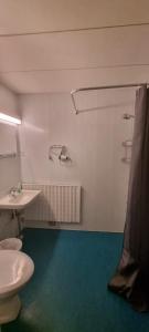 a bathroom with a white toilet and a sink at Hotel Villa Vanessa in Siltakylä