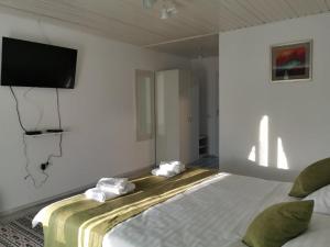 a bedroom with a bed with a tv on the wall at Pensiunea Delta Blue in Maliuc