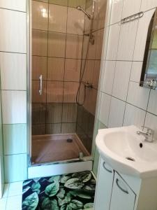 a bathroom with a shower and a sink at Rzepedka in Rzepedż