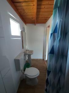 a bathroom with a toilet and a sink at C Dor de Vama Bedrooms in Vama Veche