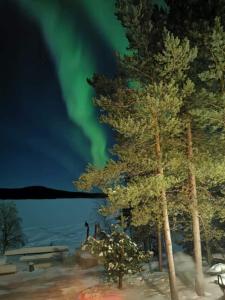 uma imagem de árvores e da aurora boreal em Heteranta, Lake Inari / Inarijärvi em Inari