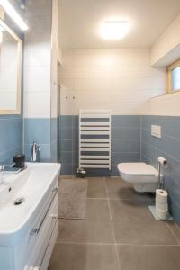 a bathroom with a white sink and a toilet at Apartmány U Jizery in Turnov