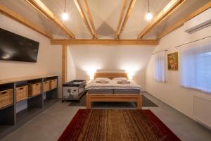 Schlafzimmer mit einem Bett und einem Flachbild-TV in der Unterkunft Apartmány U Jizery in Turnov