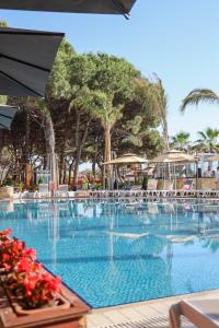 Bazén v ubytování VM Resort & SPA nebo v jeho okolí