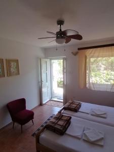 Habitación con cama, silla y ventana en Guesthouse Bracanović en Hvar