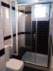 a bathroom with a shower with a toilet and a sink at Myrto 's sea view in Kallithea Halkidikis