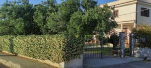 Vonkajšia záhrada v ubytovaní La casa del sole (arcomagno San Nicola Arcella)