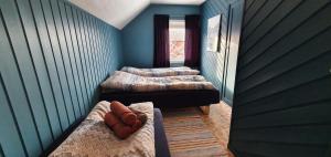 two beds in a room with blue walls at Arctic FjordCamp in Burfjord