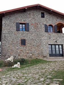 Fotografia z galérie ubytovania Podere I Casaloni - La casa nel bosco v destinácii Torniella