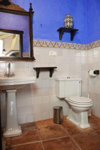 a bathroom with a toilet and a sink and a mirror at Mascotas 1 in Benaocaz