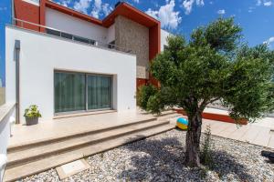 a house with a tree in front of it at O CANTINHO ENTRE A RIA E O MAR - with hot water pool all year round in Torreira