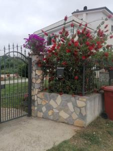Vonkajšia záhrada v ubytovaní La casa del sole (arcomagno San Nicola Arcella)