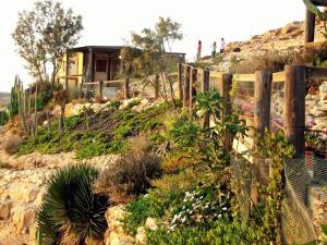 a garden with plants on a hill with a house at Alpaca Farm - חוות האלפקות in Mitzpe Ramon