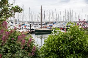 a bunch of boats docked in a marina with flowers at Gleann Na Smol in Howth