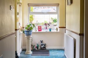 Foto sihtkohas Howth asuva majutusasutuse Gleann Na Smol galeriist