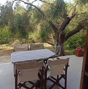 Gallery image of Andreas Apartments in Agios Georgios Pagon