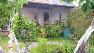 Warenshof的住宿－Ferienhaus "Libelle" Objekt ID 12111-6，一座带花园的房子和一座位于庭院的自行车
