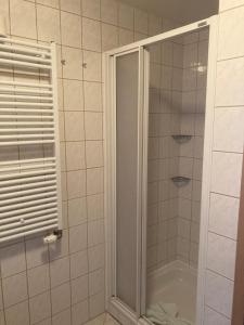 eine Dusche mit Glastür im Bad in der Unterkunft FeWo Lindenhof in Alt Reddevitz