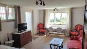 a living room with a tv and a couch and chairs at Haus am Trielberg in Meersburg