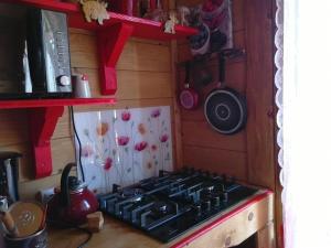 a kitchen with a stove top in a kitchen at Chalet sur Pilotis Ane'ita de l'Arbenquens in La Mure