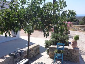 a blue chair sitting next to a tree at Theros house in Kythira