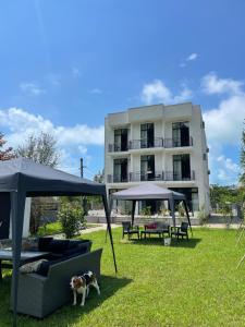Zahrada ubytování Villa Flora