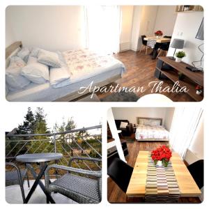 Apartman Thalia 휴식 공간