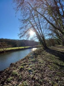 a body of water with trees and a river at Maisonnette indépendante au bord du loir 