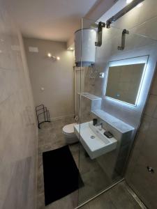 A bathroom at Apartma IRENA