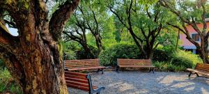A garden outside Dolce Blu Sirmione