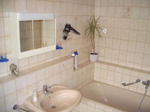 a bathroom with a sink and a tub with a plant at Ferienwohnung am Busterbach in Seebach