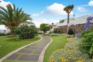 A garden outside Casa Adayeim 2