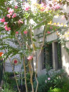 Um jardim em Hostal Rio Amazonas